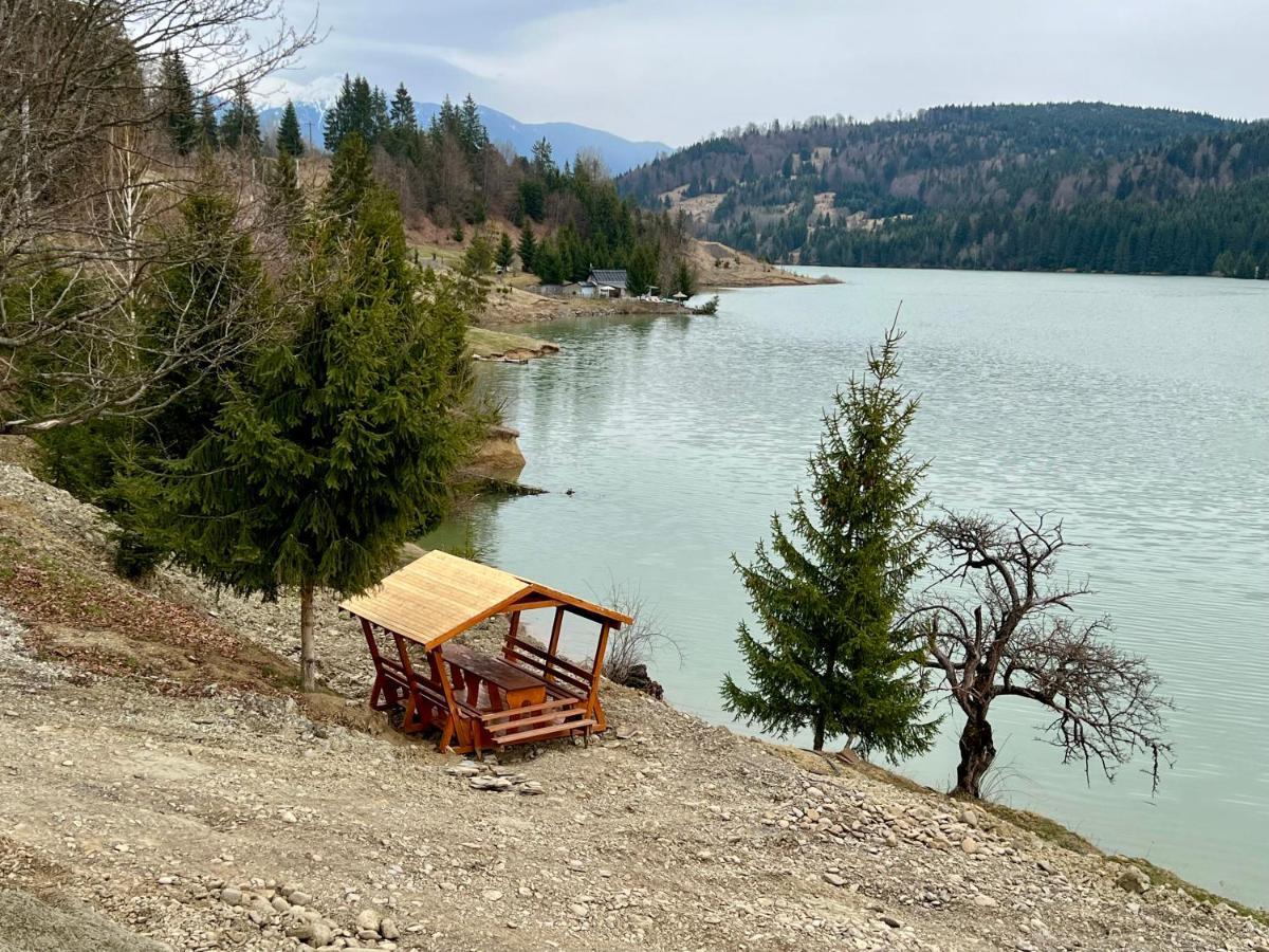Casa Eden - Apartamente Langa Lac Colibiţa Exteriör bild