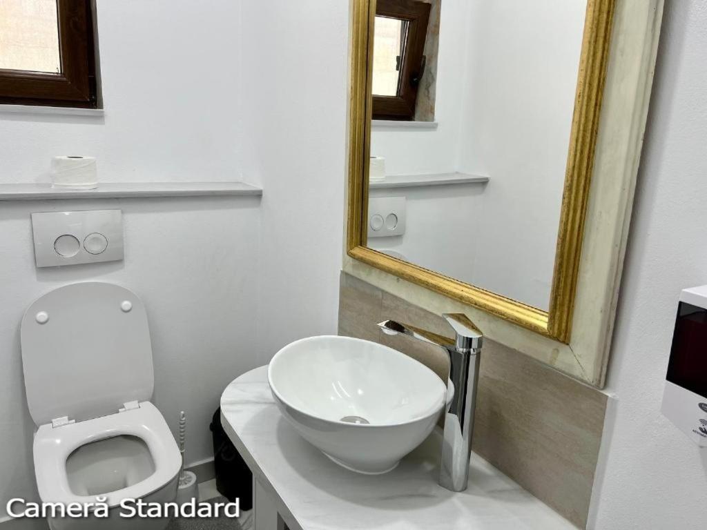 Casa Eden - Apartamente Langa Lac Colibiţa Exteriör bild