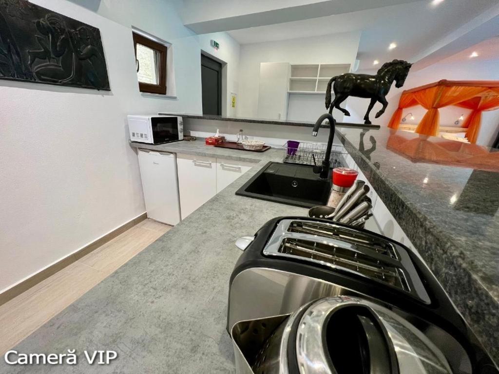Casa Eden - Apartamente Langa Lac Colibiţa Exteriör bild